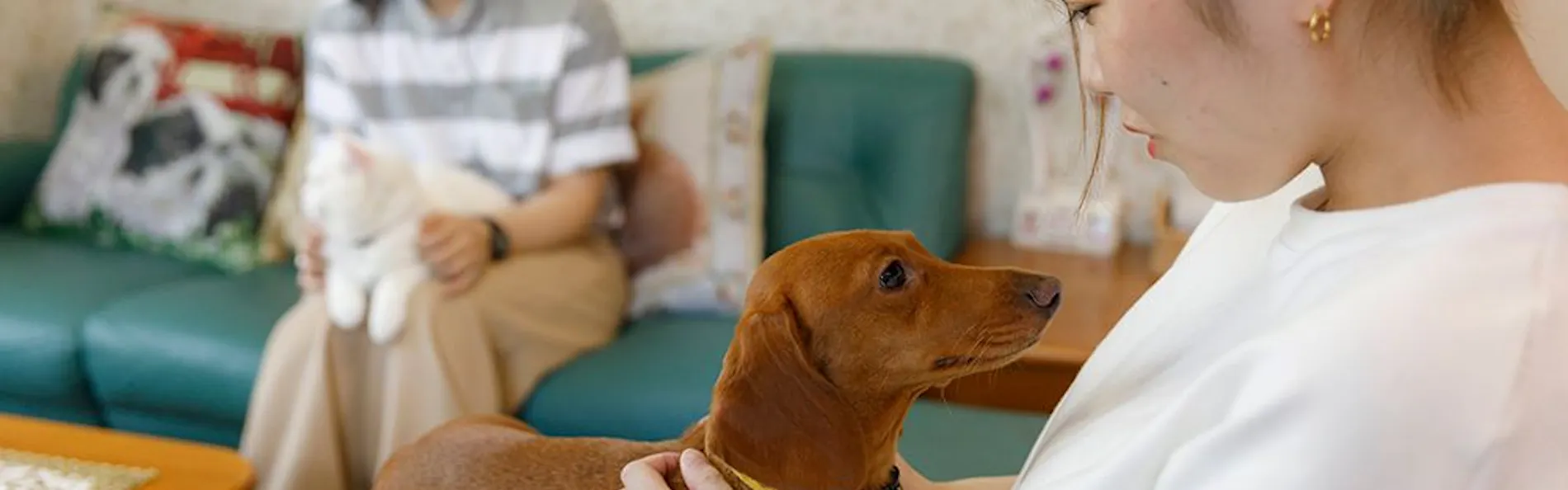 ペット同室宿泊パイオニアの宿 きぬ川国際ホテル