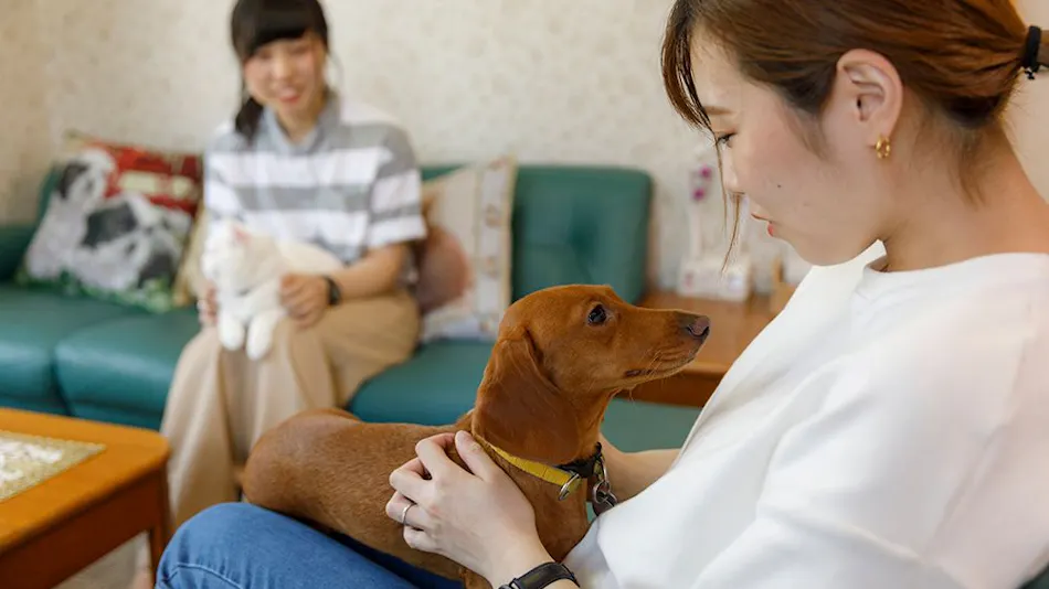 Kinugawa International Hotel: A Pet-Friendly Accommodation with Three Dog Runs