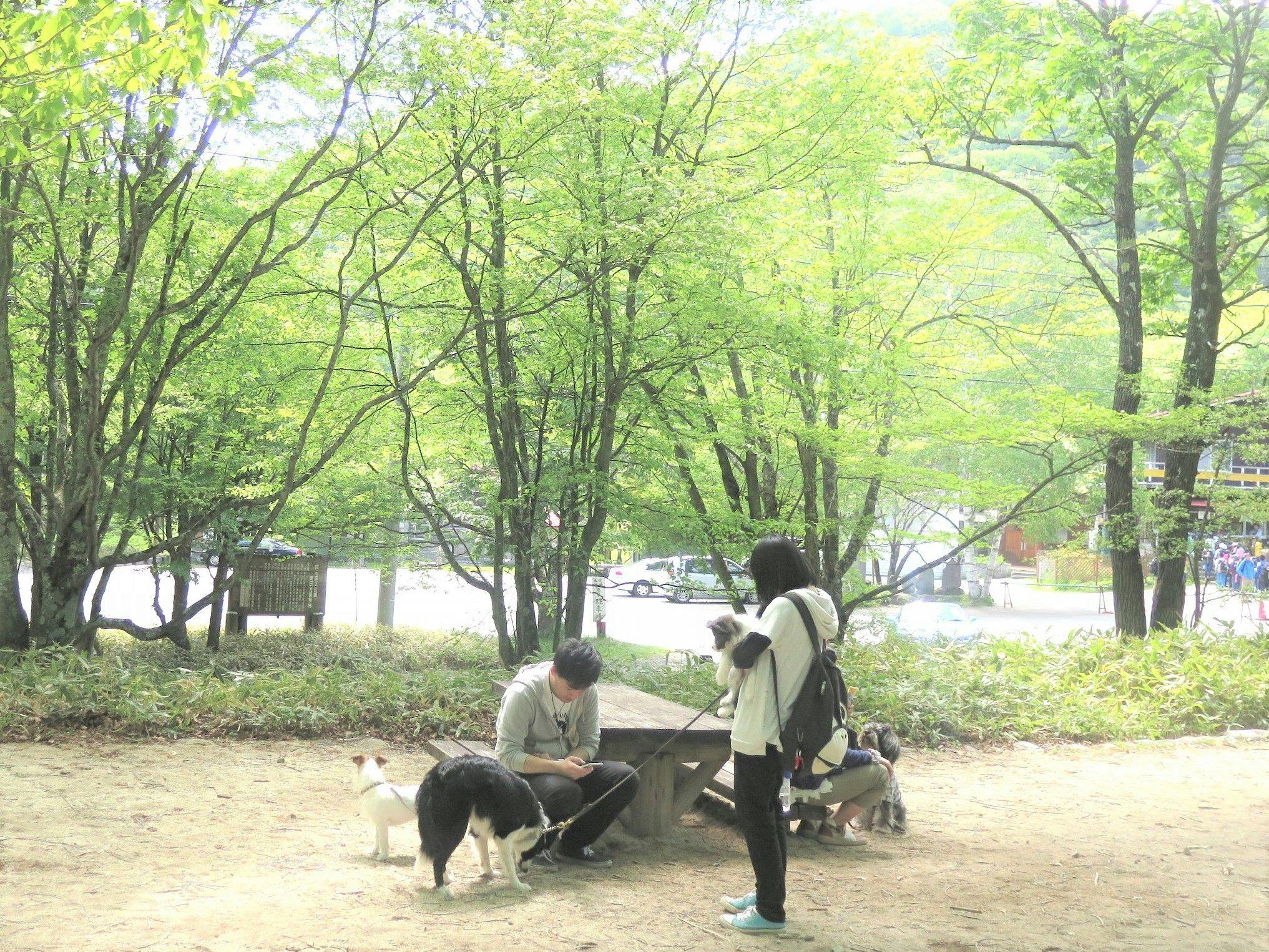 ペット同室宿泊パイオニアの宿　きぬ川国際ホテル