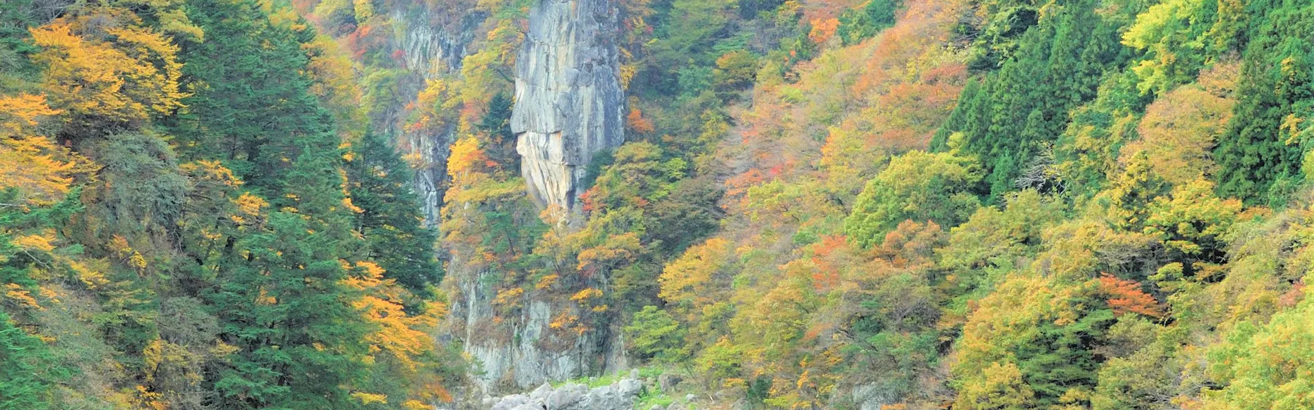 ペット同室宿泊パイオニアの宿 きぬ川国際ホテル