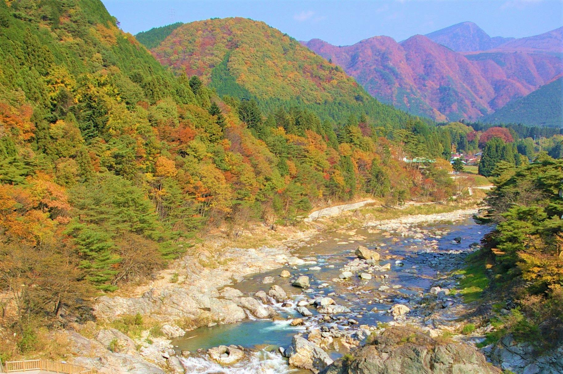 ペット同室宿泊パイオニアの宿　きぬ川国際ホテル