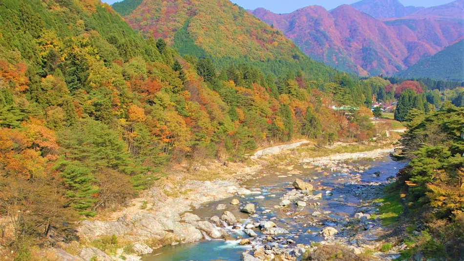 Kinugawa International Hotel: A Pet-Friendly Accommodation with Three Dog Runs