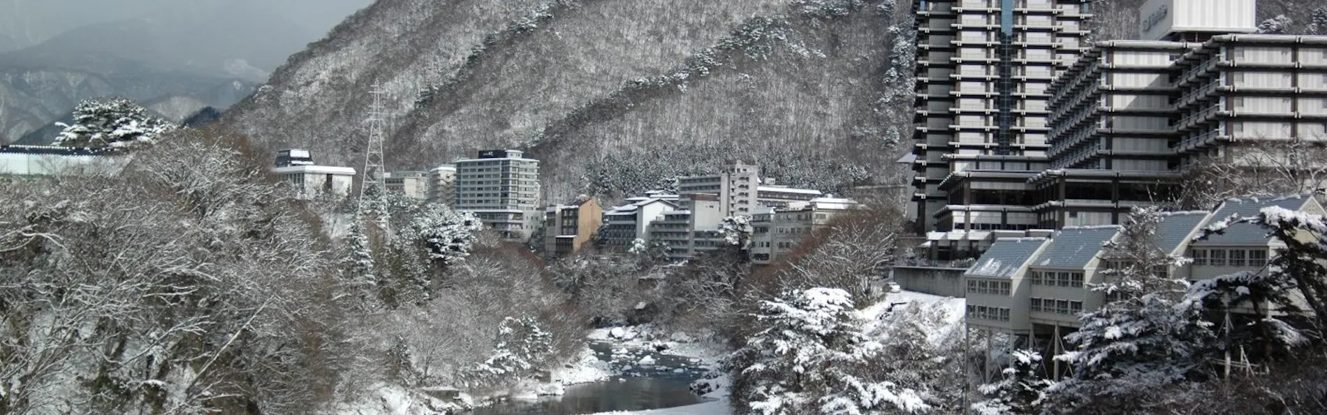 ペット同室宿泊パイオニアの宿 きぬ川国際ホテル