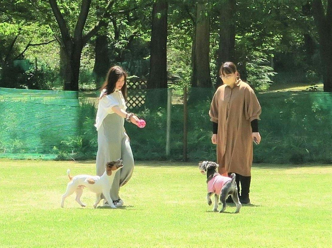 【早割30】30日前の予約でお得にペットと一緒にご宿泊！日光ゆばを取り入れた季節和食膳と温泉も堪能