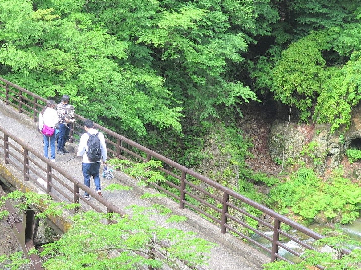 ペット同室宿泊パイオニアの宿　きぬ川国際ホテル