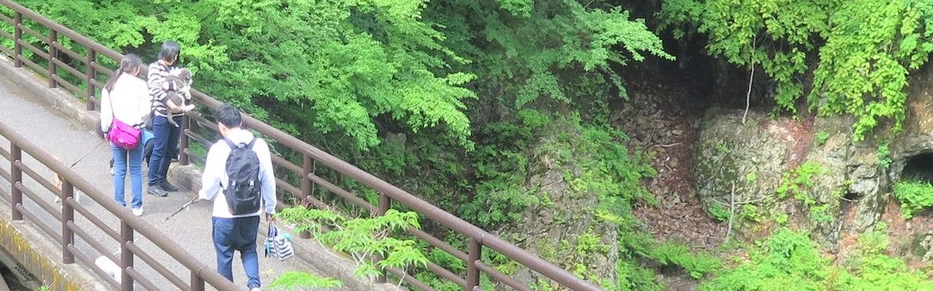 ペット同室宿泊パイオニアの宿 きぬ川国際ホテル