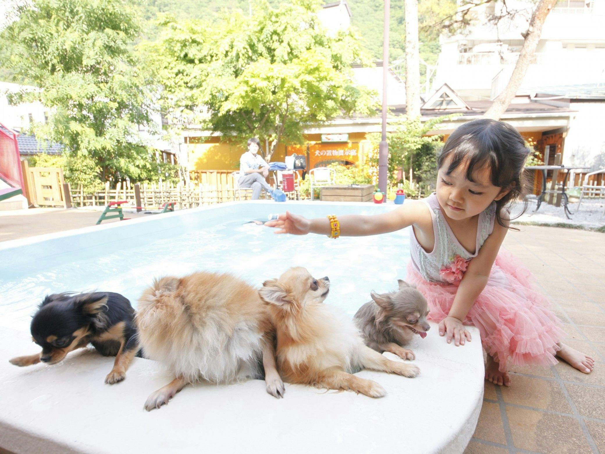 ペット同室宿泊パイオニアの宿　きぬ川国際ホテル