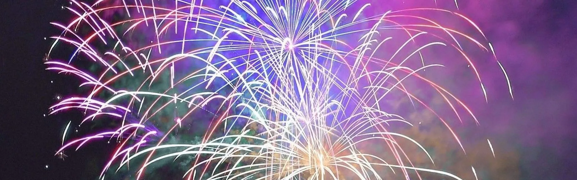 ペット同室宿泊パイオニアの宿 きぬ川国際ホテル