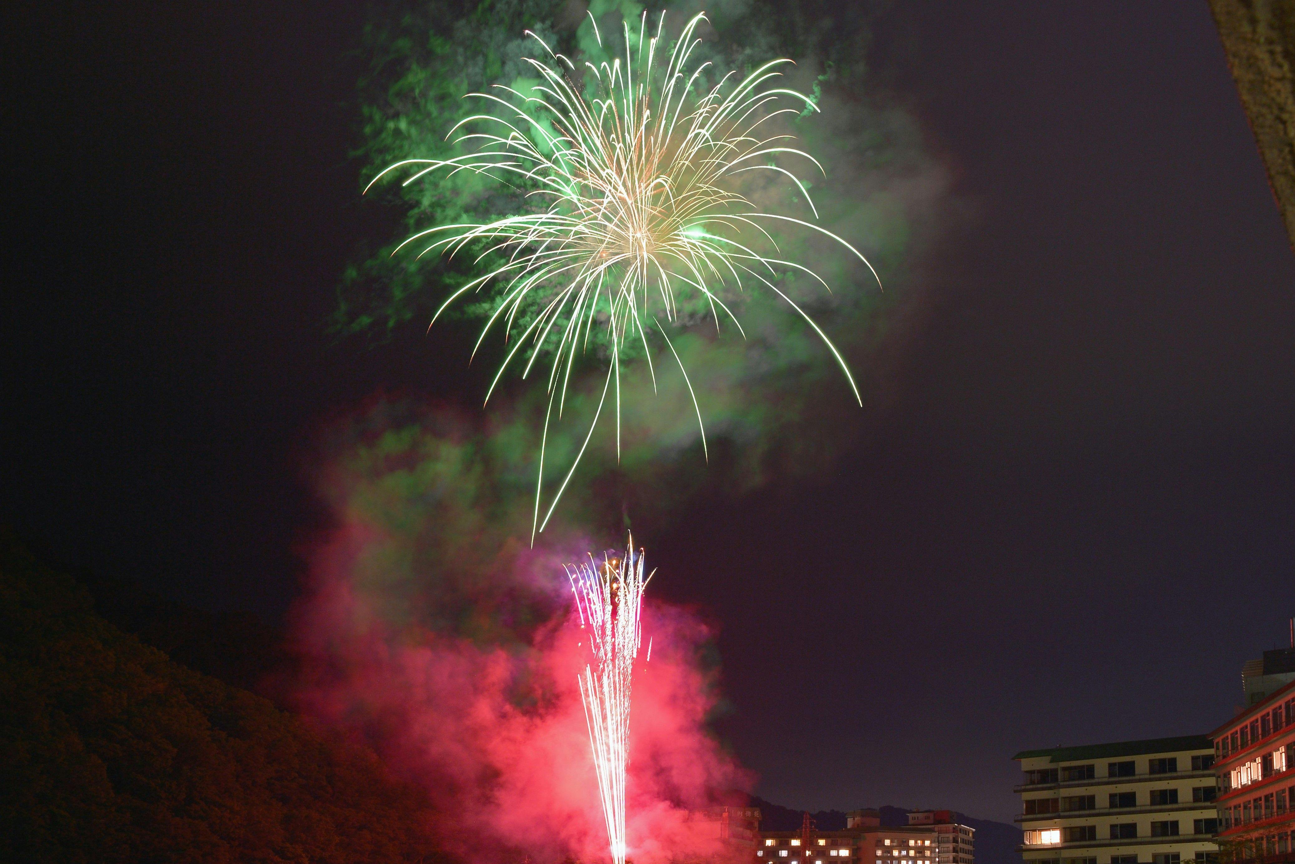 ペット同室宿泊パイオニアの宿　きぬ川国際ホテル