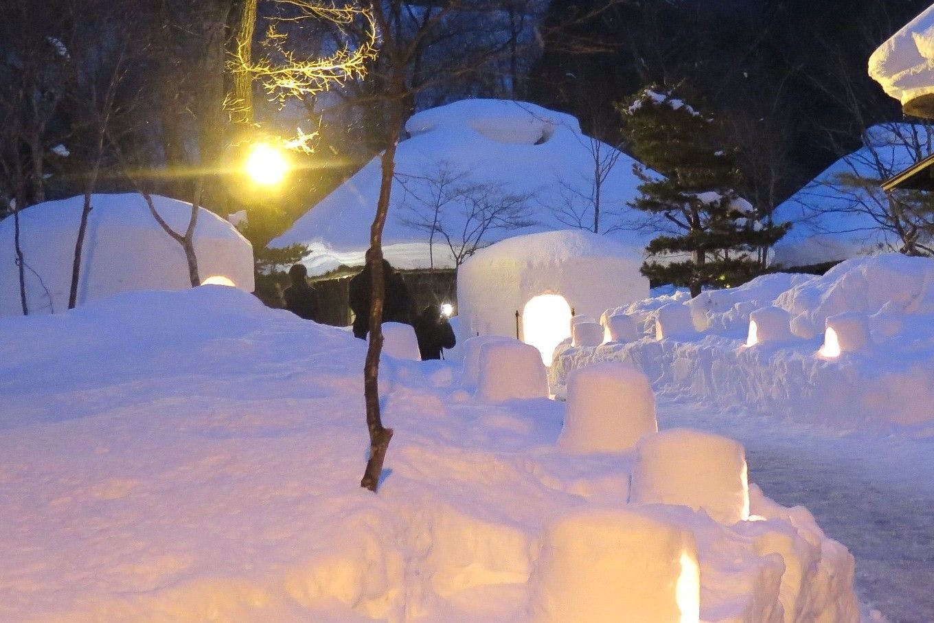 ペット同室宿泊パイオニアの宿　きぬ川国際ホテル