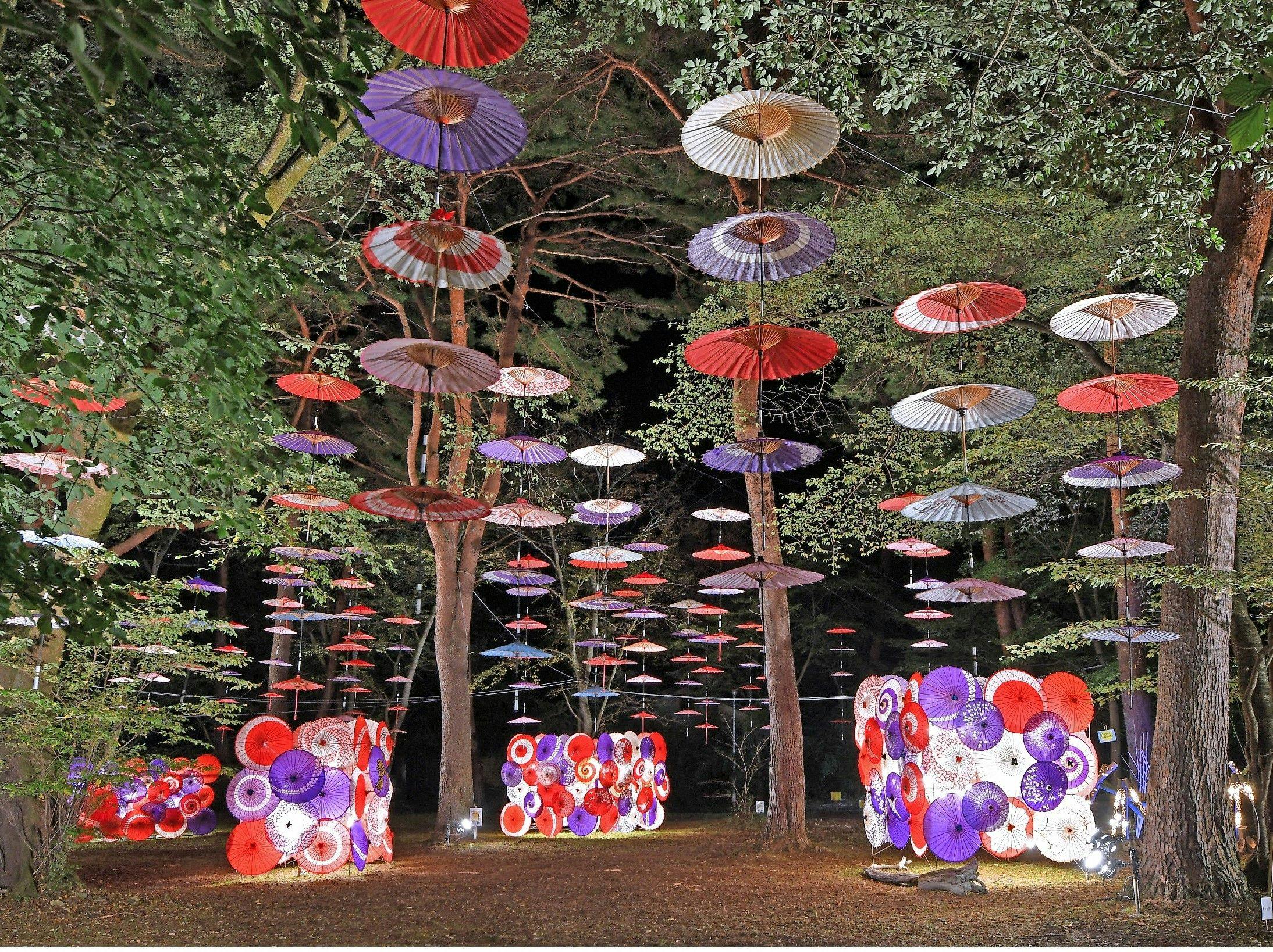 กิจกรรมประจำฤดูใบไม้ร่วง 'ทางเดินดอกไม้ใต้แสงจันทร์'