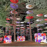 กิจกรรมประจำฤดูใบไม้ร่วง 'ทางเดินดอกไม้ใต้แสงจันทร์'