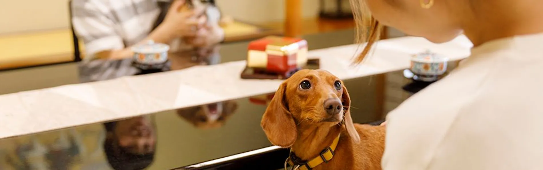 ペット同室宿泊パイオニアの宿 きぬ川国際ホテル
