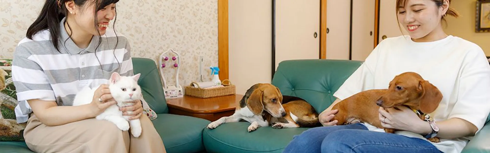 ペット同室宿泊パイオニアの宿 きぬ川国際ホテル