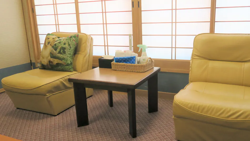 Kinugawa International Hotel: A Pet-Friendly Accommodation with Three Dog Runs