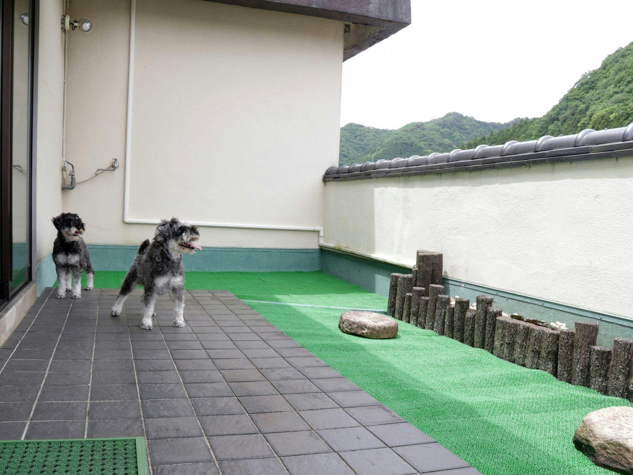 ベランダミニドッグラン