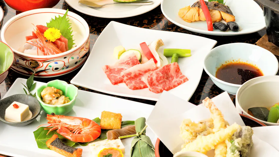 Kinugawa International Hotel: A Pet-Friendly Accommodation with Three Dog Runs