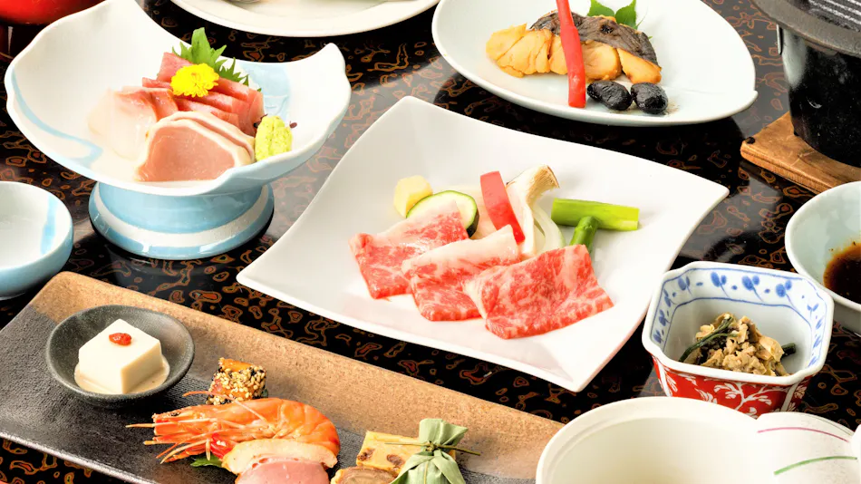 Kinugawa International Hotel: A Pet-Friendly Accommodation with Three Dog Runs