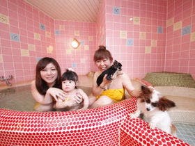 ペット同室宿泊パイオニアの宿　きぬ川国際ホテル