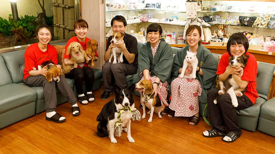 Kinugawa International Hotel: A Pet-Friendly Accommodation with Three Dog Runs
