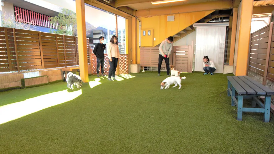 Kinugawa International Hotel: A Pet-Friendly Accommodation with Three Dog Runs