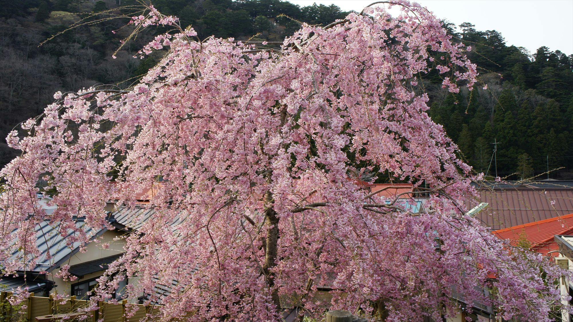 宿 花屋徳兵衛