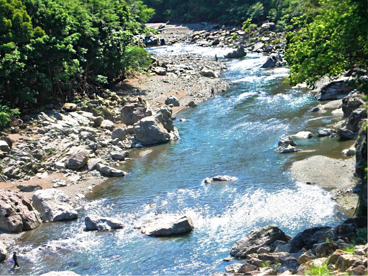 奥伊勢フォレストピア宮川山荘