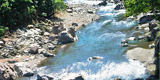 奥伊勢フォレストピア宮川山荘