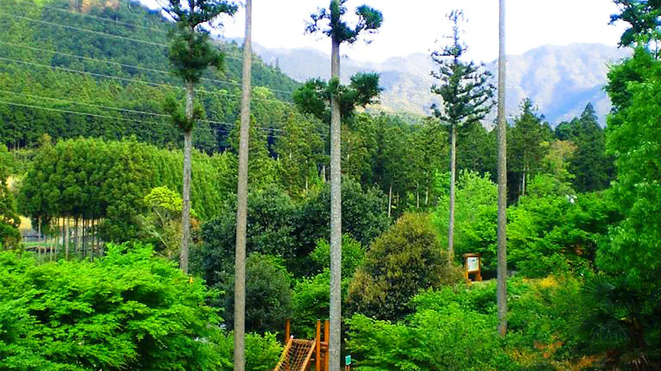 Okuise Forestpia Miyagawa Mountain Lodge