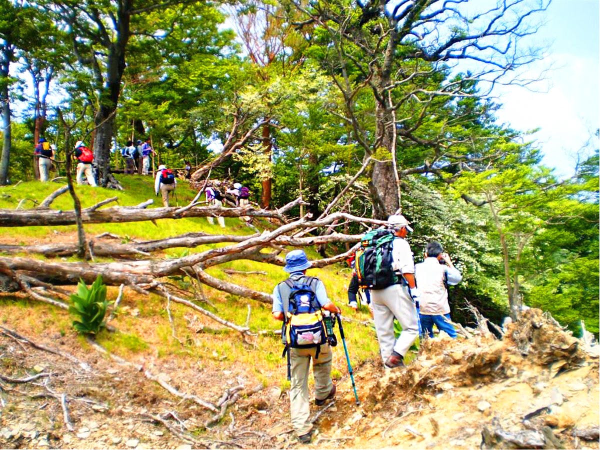 奥伊勢フォレストピア宮川山荘