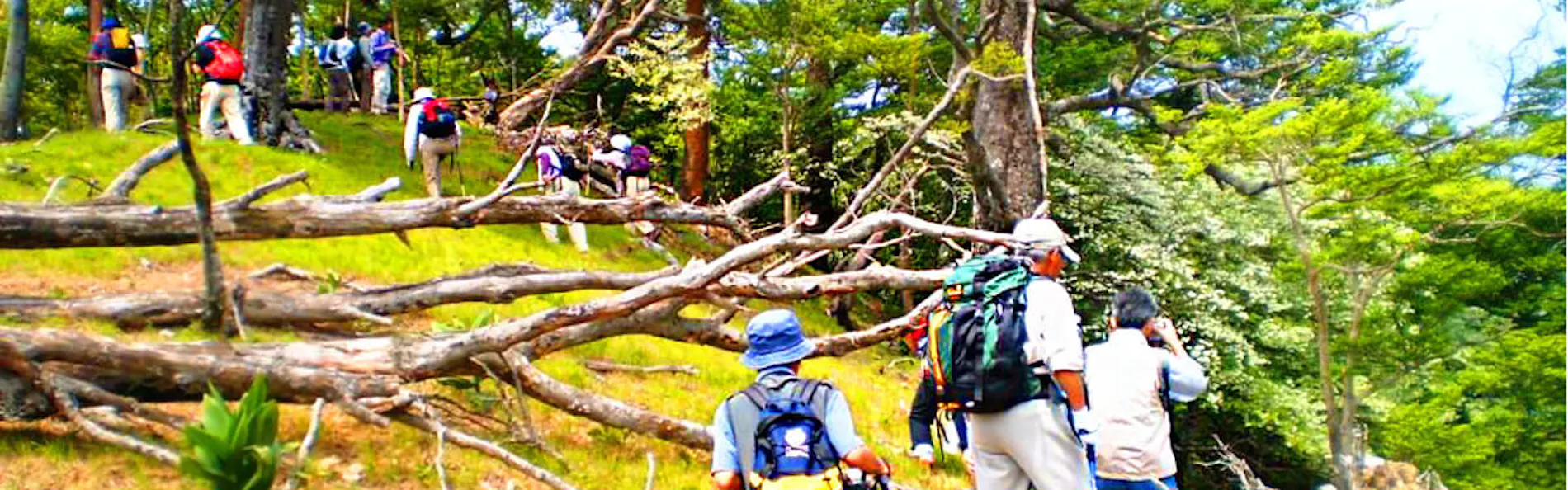 奥伊勢フォレストピア宮川山荘