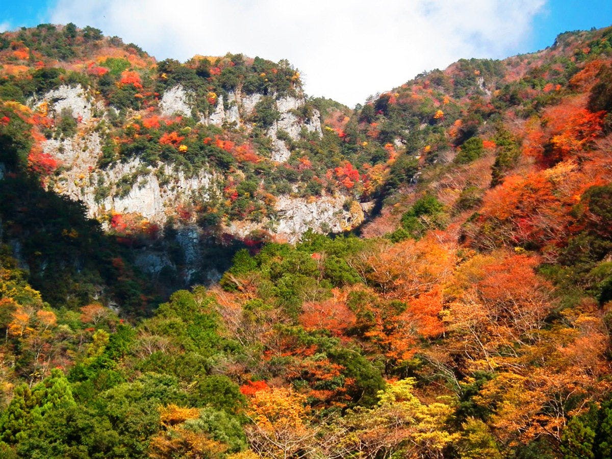 奥伊勢フォレストピア宮川山荘