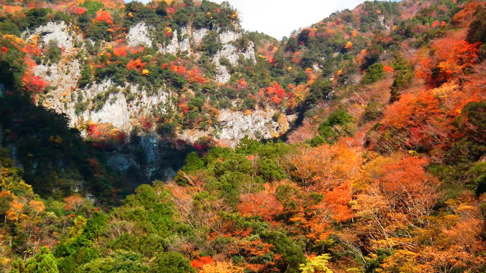 Okuise Forestpia Miyagawa Mountain Lodge