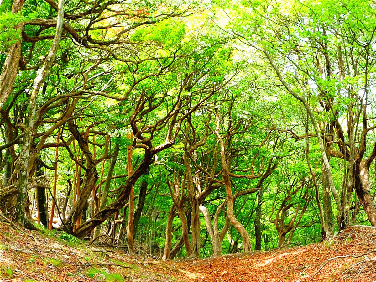 施設周辺には自然がたくさん