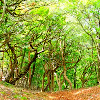 施設周辺には自然がたくさん