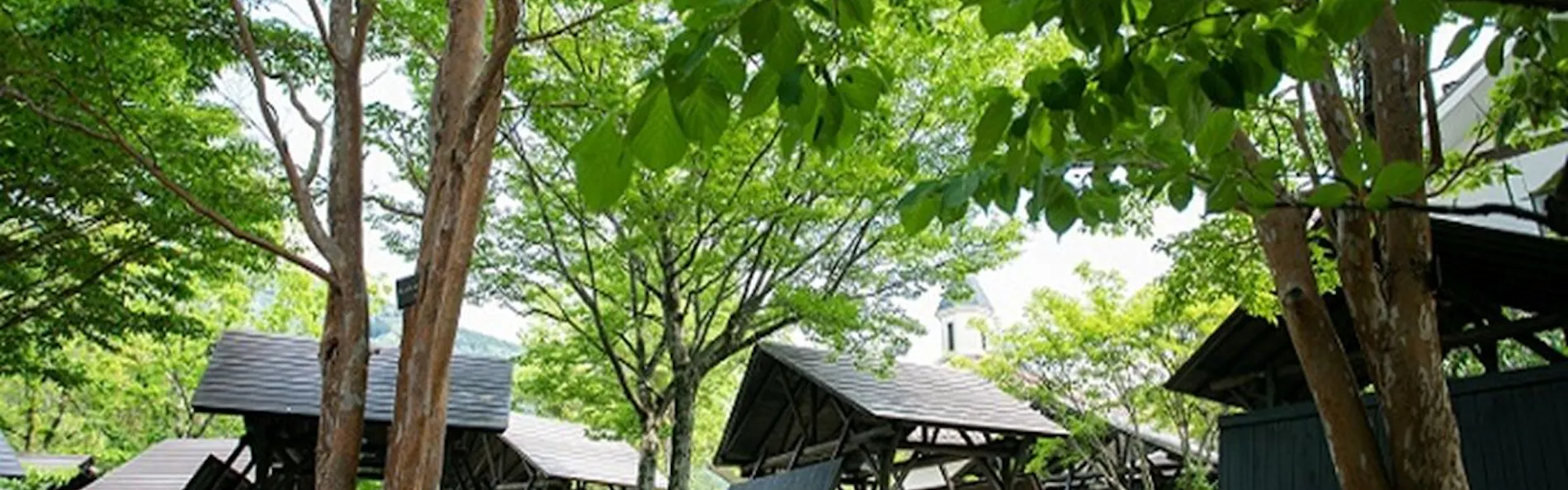 奥伊勢フォレストピア宮川山荘