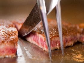 湯布院ガーデンホテル　ドッグラン＆リゾート