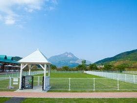 湯布院ガーデンホテル　ドッグラン＆リゾート