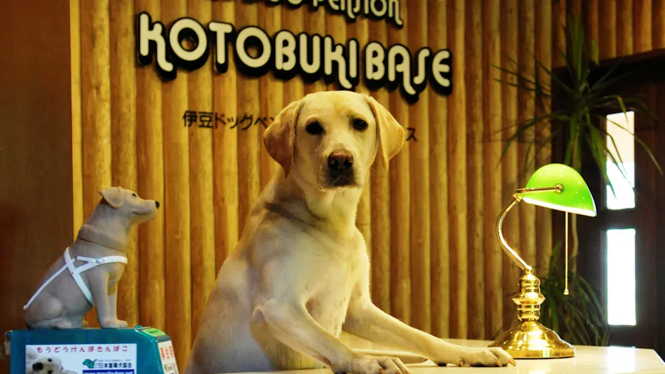 Izu Dog Pension Kotobuki Base
