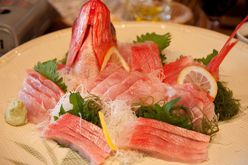 伊豆ドッグペンション　ことぶきベース