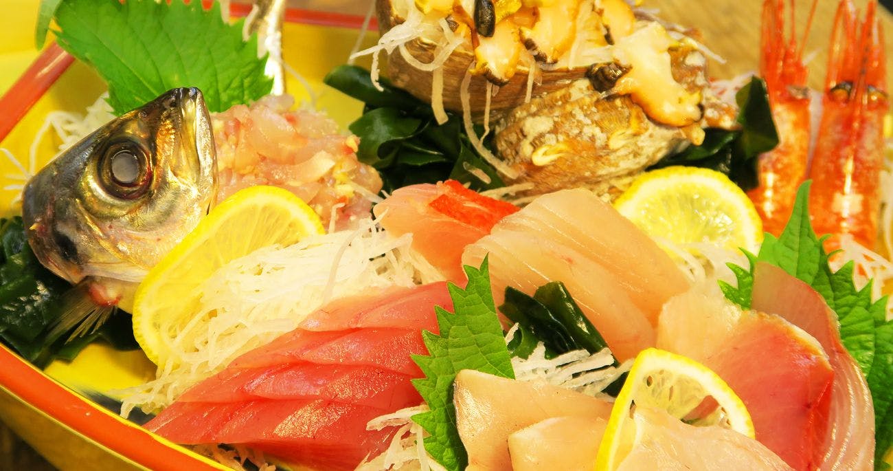 伊豆ドッグペンション　ことぶきベース