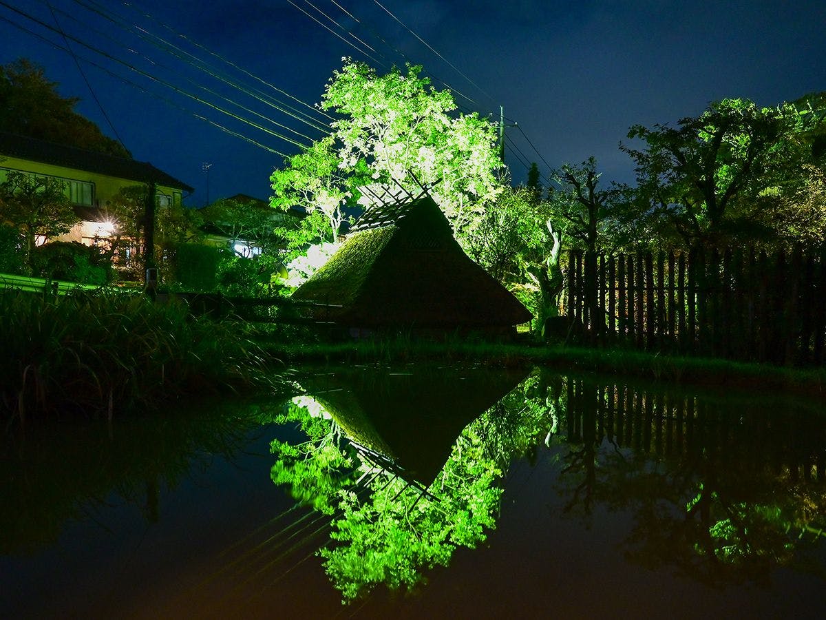 神話が息づく出雲ノ国 古代ロマンの宿 松園
