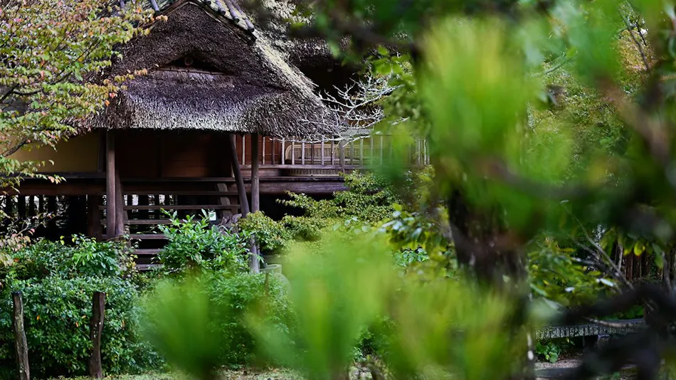 Matsuen: The Ancient Romance Inn of Izumo, Where Myths Come Alive