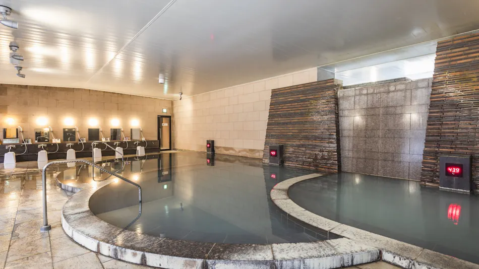 Hotel Ichii