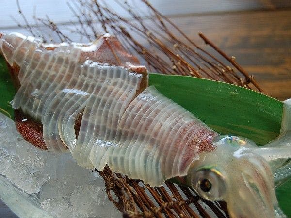 離れの宿　和楽