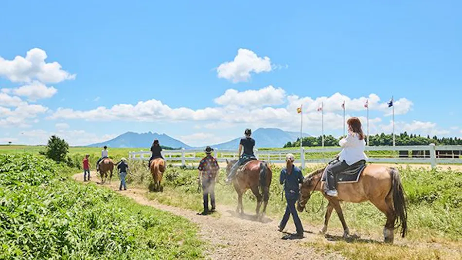 El Patio Ranch