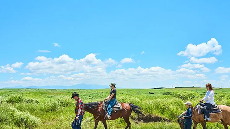 El Patio Ranch