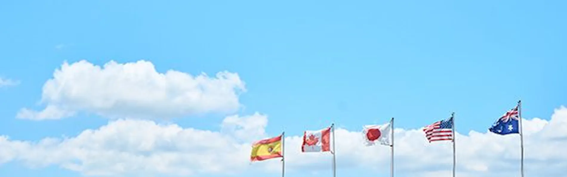 エル・パティオ牧場