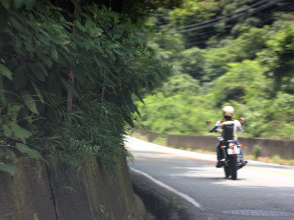 鶯宿温泉　元湯源泉かけ流しの宿　川長（旧：川長山荘）