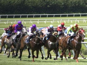 高瀬温泉　花みちる宿　ニュー萬力